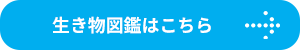 生き物図鑑はこちら