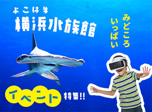 イベント特集