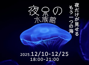 ナイトアクアリウム
